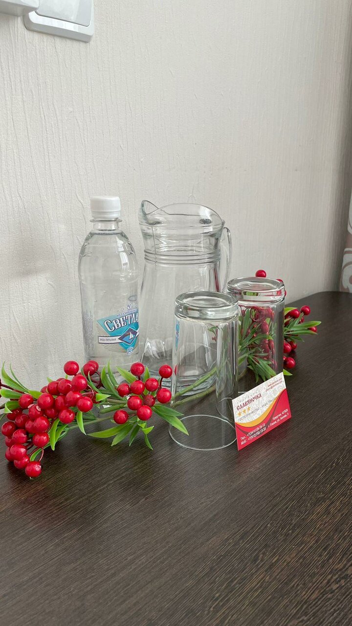 Гостиница Славяночка Глазов-64