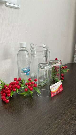 Гостиница Славяночка Глазов Стандарт Double-5