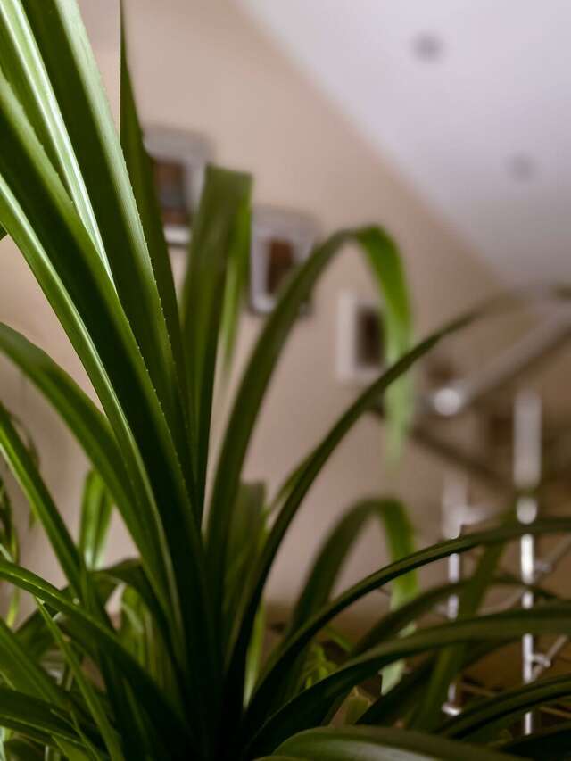 Гостиница Славяночка Глазов-79