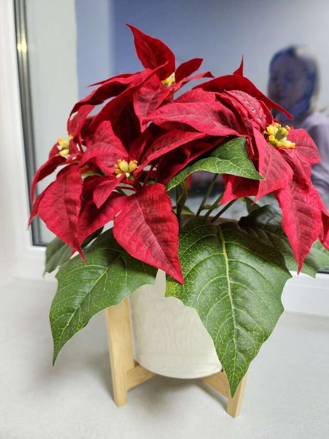 Гостиница Славяночка Глазов-217