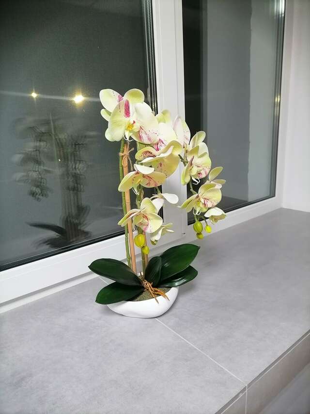 Гостиница Славяночка Глазов-219